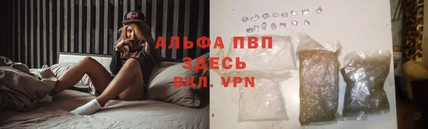 spice Пересвет