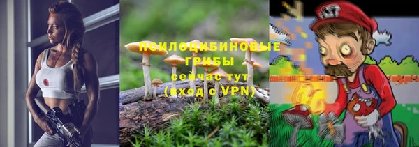 крисы Алзамай