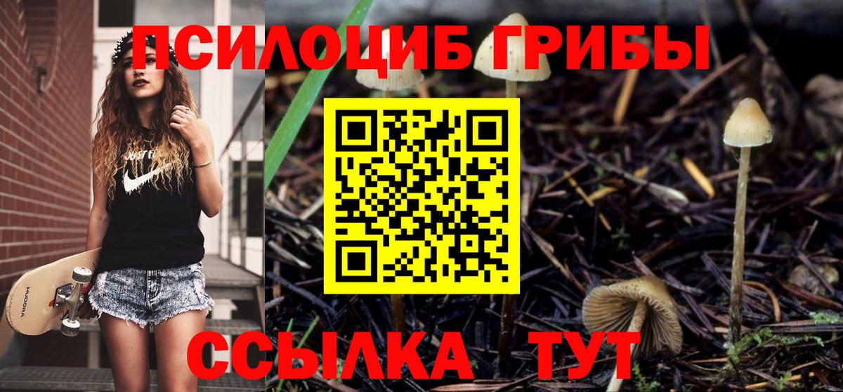 Галлюциногенные грибы мицелий Ревда